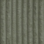 Tilia 37